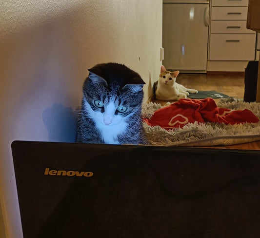 How did I end up working with clay?