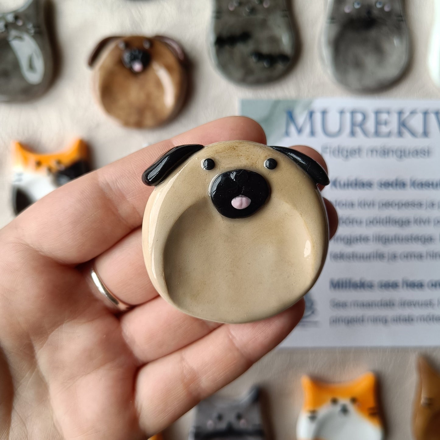 Kassi murekivi – väike rahuhetk sinu päevas