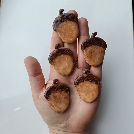 🌰 Käsitsi valmistatud tammetõru magnetid
